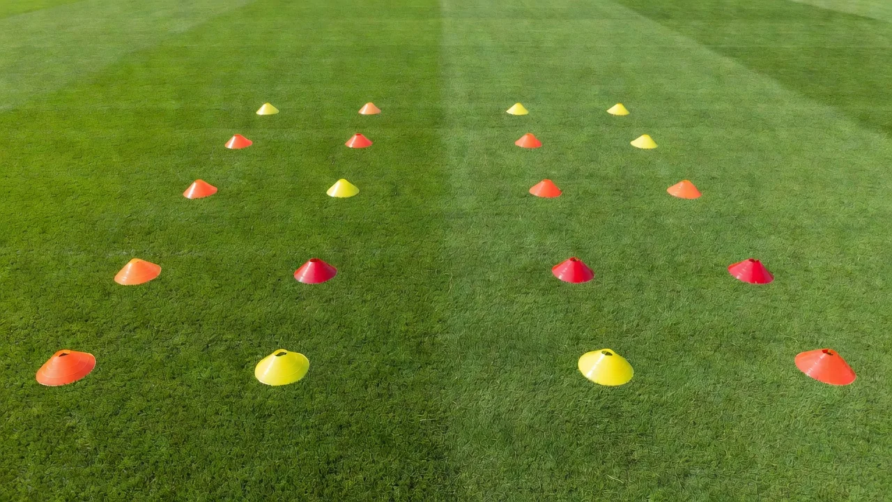 Two rows of cones staggered in depth on grass showing defensive cover